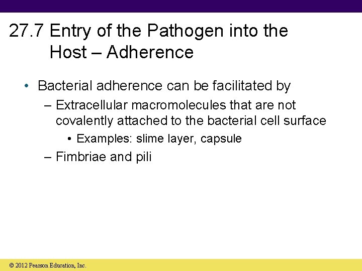 27. 7 Entry of the Pathogen into the Host – Adherence • Bacterial adherence