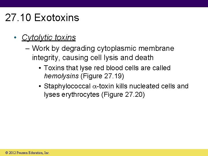 27. 10 Exotoxins • Cytolytic toxins – Work by degrading cytoplasmic membrane integrity, causing