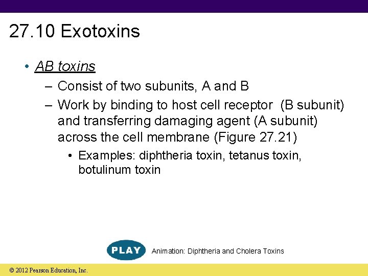 27. 10 Exotoxins • AB toxins – Consist of two subunits, A and B