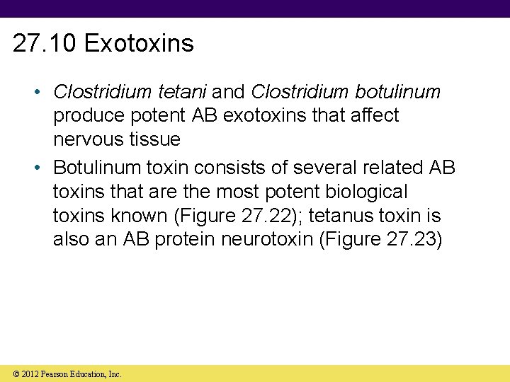 27. 10 Exotoxins • Clostridium tetani and Clostridium botulinum produce potent AB exotoxins that