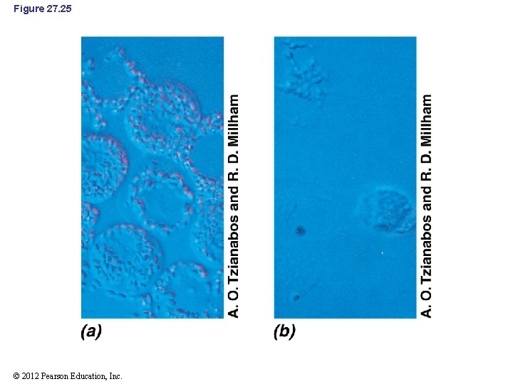 Figure 27. 25 © 2012 Pearson Education, Inc. 
