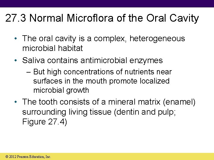 27. 3 Normal Microflora of the Oral Cavity • The oral cavity is a