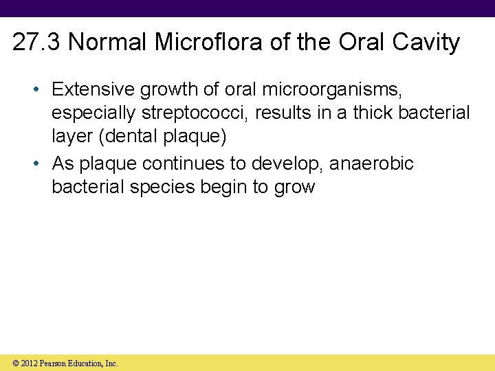 27. 3 Normal Microflora of the Oral Cavity • Extensive growth of oral microorganisms,