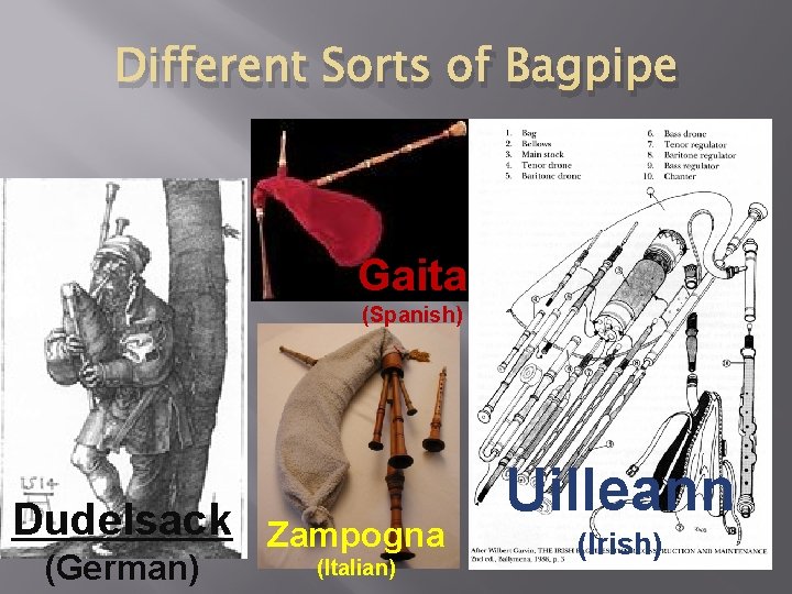 Different Sorts of Bagpipe Gaita (Spanish) Dudelsack (German) Zampogna (Italian) Uilleann (Irish) 