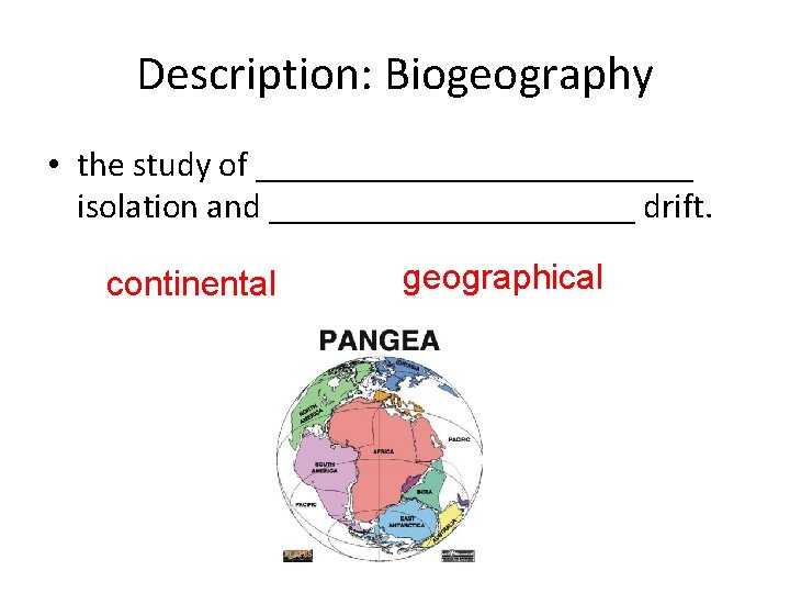 Description: Biogeography • the study of _____________ isolation and ___________ drift. continental geographical 