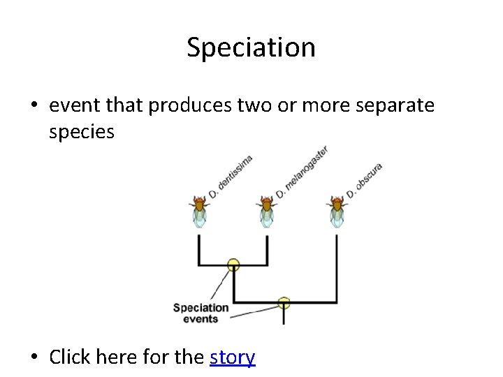 Speciation • event that produces two or more separate species • Click here for