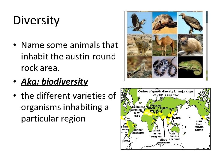 Diversity • Name some animals that inhabit the austin-round rock area. • Aka: biodiversity