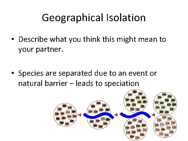 Geographical Isolation • Describe what you think this might mean to your partner. •