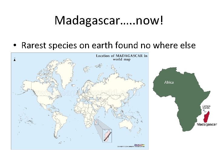 Madagascar…. . now! • Rarest species on earth found no where else 