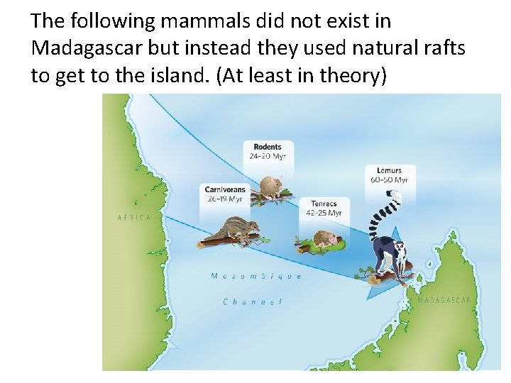 The following mammals did not exist in Madagascar but instead they used natural rafts