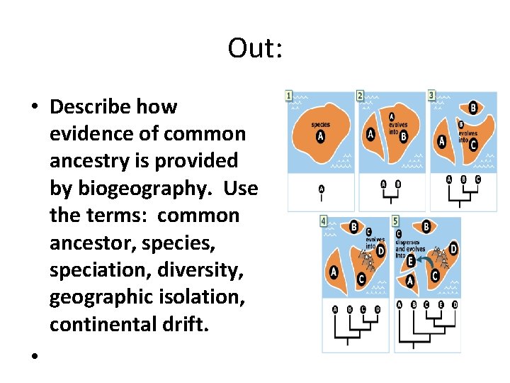 Out: • Describe how evidence of common ancestry is provided by biogeography. Use the