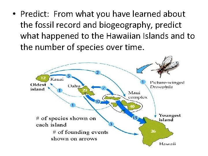  • Predict: From what you have learned about the fossil record and biogeography,