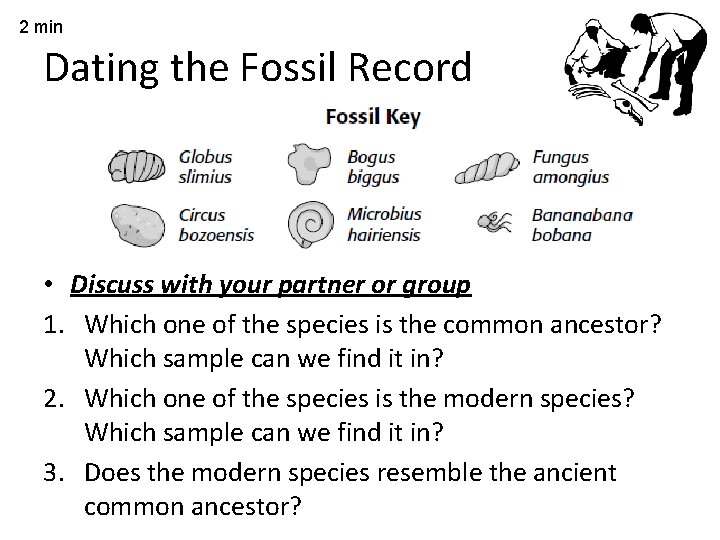 2 min Dating the Fossil Record • Discuss with your partner or group 1.