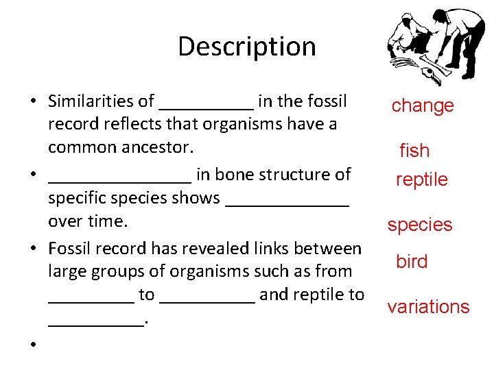 Description • Similarities of _____ in the fossil change record reflects that organisms have