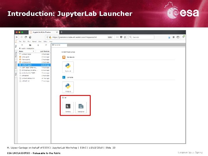Introduction: Jupyter. Lab Launcher M. López-Caniego on behalf of ESDC | Jupyter. Lab Workshop