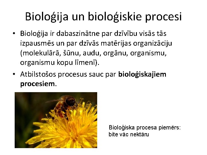 Bioloģija un bioloģiskie procesi • Bioloģija ir dabaszinātne par dzīvību visās tās izpausmēs un