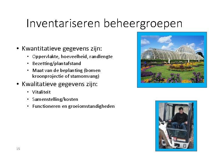 Inventariseren beheergroepen • Kwantitatieve gegevens zijn: • Oppervlakte, hoeveelheid, randlengte • Bezetting/plantafstand • Maat Inventariseren beheergroepen • Kwantitatieve gegevens zijn: • Oppervlakte, hoeveelheid, randlengte • Bezetting/plantafstand • Maat
