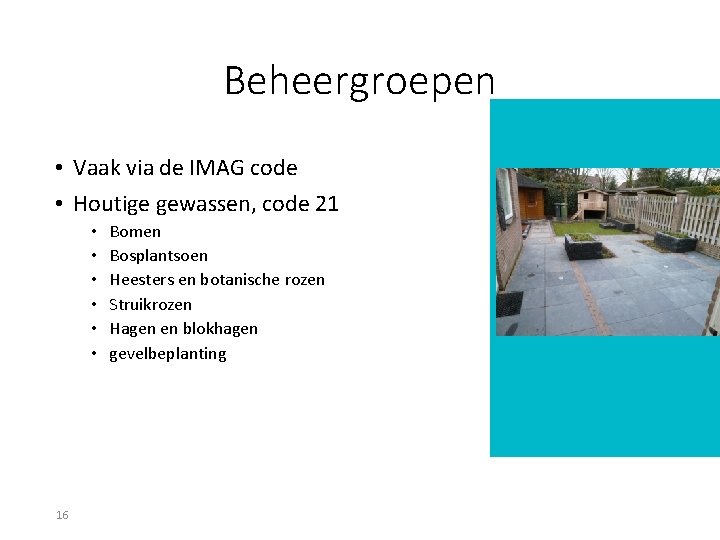 Beheergroepen • Vaak via de IMAG code • Houtige gewassen, code 21 • •