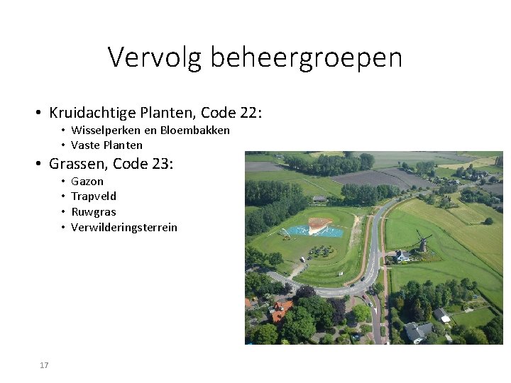 Vervolg beheergroepen • Kruidachtige Planten, Code 22: • Wisselperken en Bloembakken • Vaste Planten Vervolg beheergroepen • Kruidachtige Planten, Code 22: • Wisselperken en Bloembakken • Vaste Planten