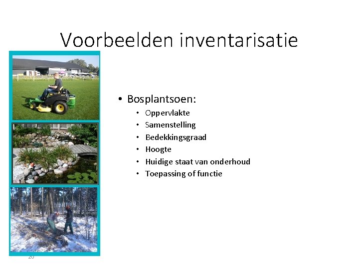 Voorbeelden inventarisatie • Bosplantsoen: • • • 20 Oppervlakte Samenstelling Bedekkingsgraad Hoogte Huidige staat