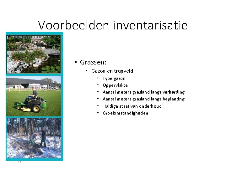 Voorbeelden inventarisatie • Grassen: • Gazon en trapveld • • • 21 Type gazon