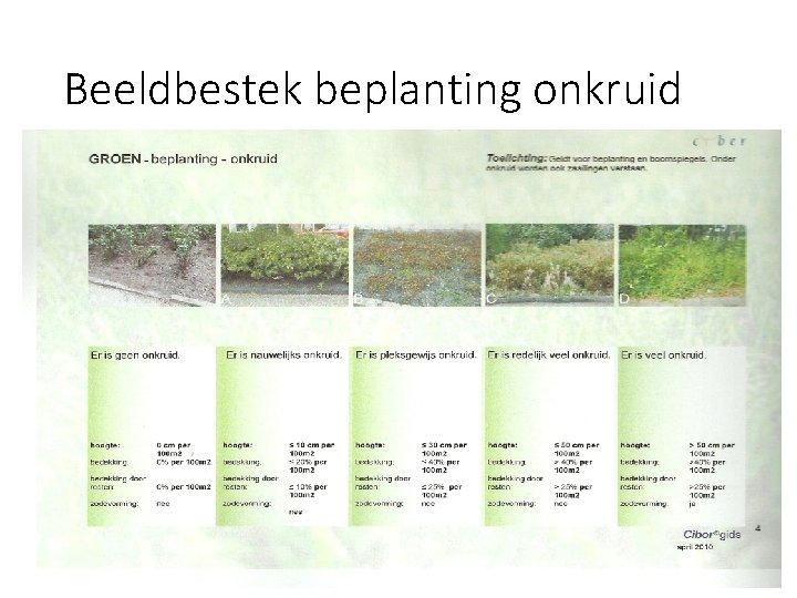 Beeldbestek beplanting onkruid 23 Beeldbestek beplanting onkruid 23