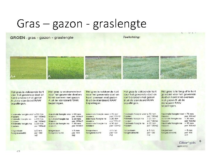 Gras – gazon - graslengte 25 