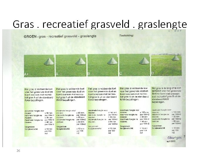 Gras. recreatief grasveld. graslengte 26 