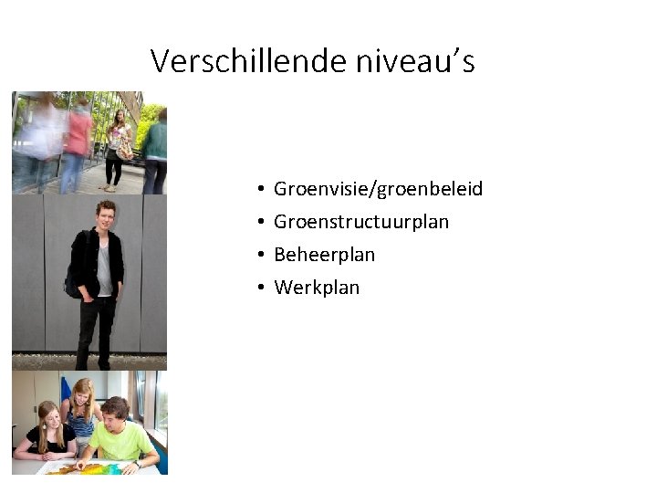 Verschillende niveau’s • • 4 Groenvisie/groenbeleid Groenstructuurplan Beheerplan Werkplan 