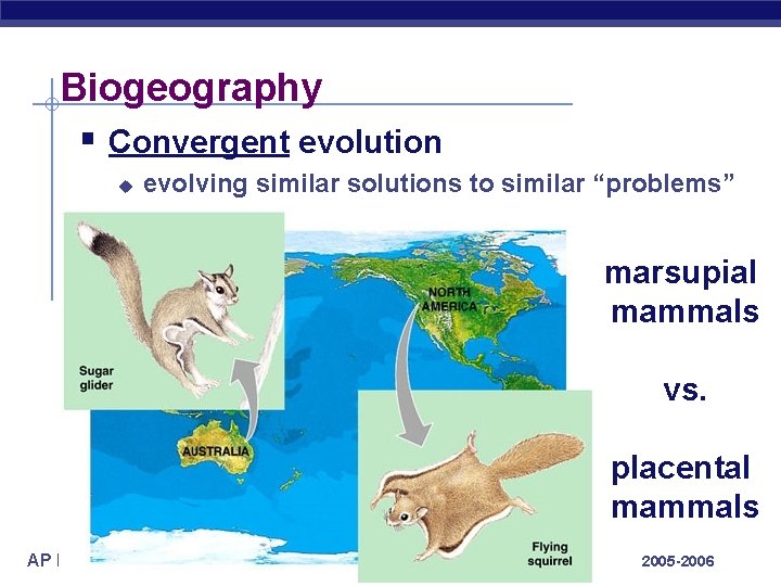 Biogeography § Convergent evolution u evolving similar solutions to similar “problems” marsupial mammals vs.