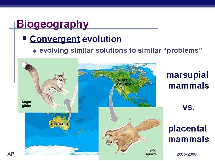 Biogeography § Convergent evolution u evolving similar solutions to similar “problems” marsupial mammals vs. Biogeography § Convergent evolution u evolving similar solutions to similar “problems” marsupial mammals vs.