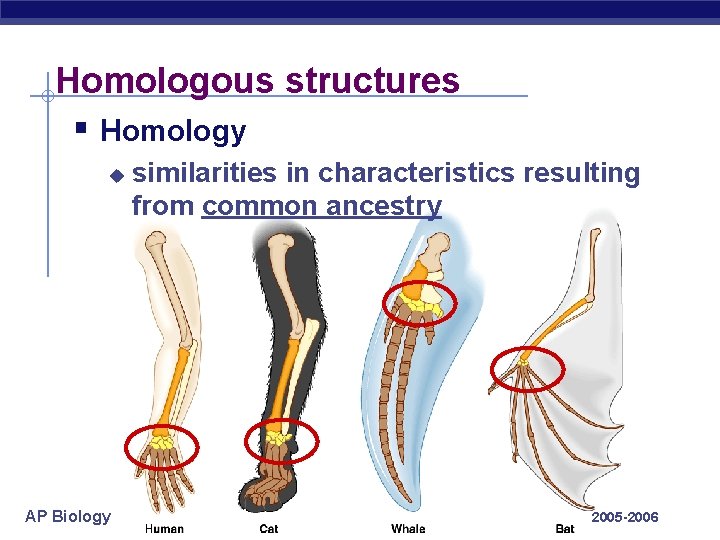 Homologous structures § Homology u AP Biology similarities in characteristics resulting from common ancestry Homologous structures § Homology u AP Biology similarities in characteristics resulting from common ancestry