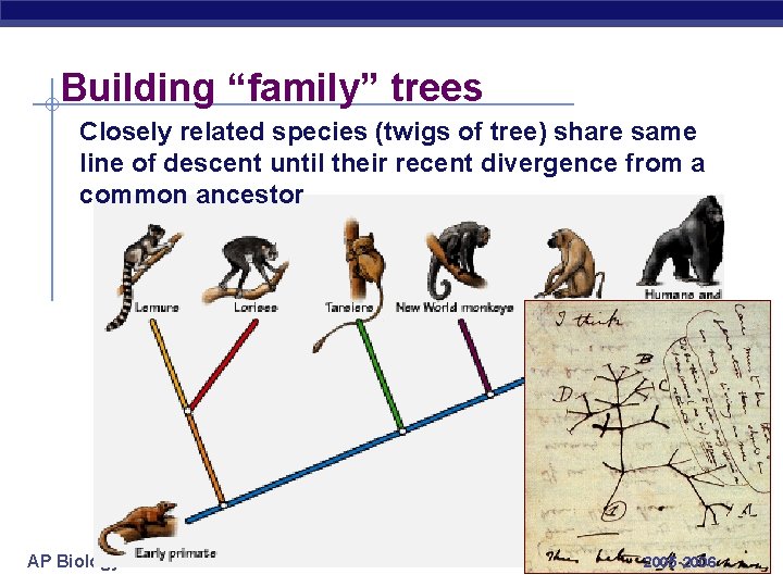 Building “family” trees Closely related species (twigs of tree) share same line of descent