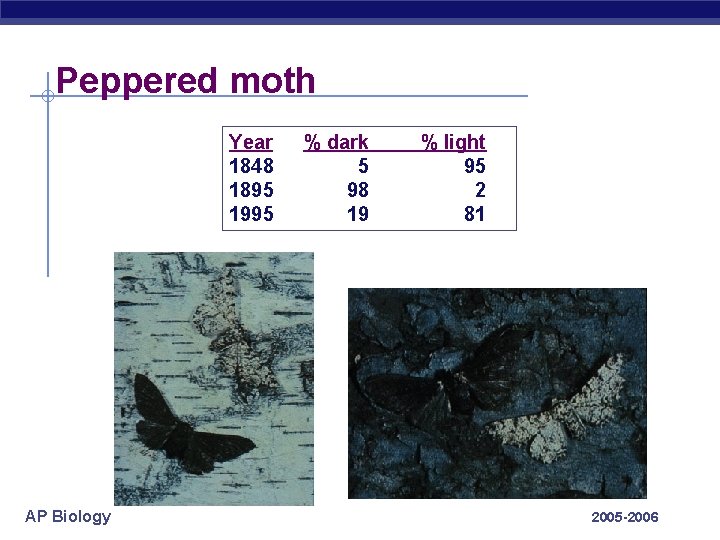 Peppered moth Year 1848 1895 1995 AP Biology % dark 5 98 19 %