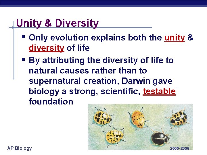 Unity & Diversity § Only evolution explains both the unity & § diversity of Unity & Diversity § Only evolution explains both the unity & § diversity of