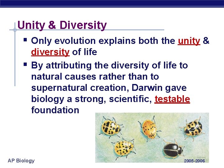 Unity & Diversity § Only evolution explains both the unity & § diversity of