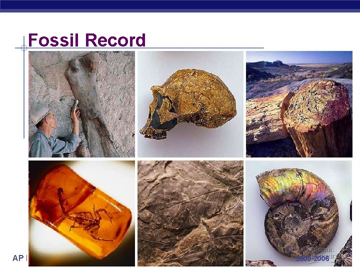 Fossil Record AP Biology 2005 -2006 Fossil Record AP Biology 2005 -2006