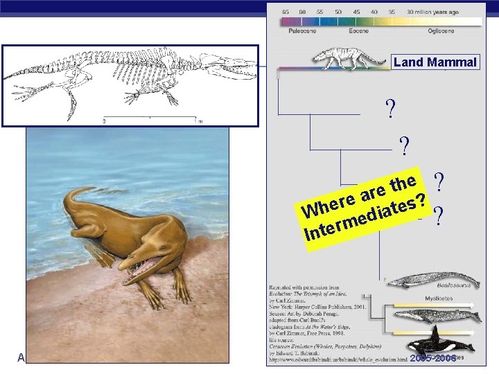 Land Mammal ? ? e ? h t re a e ? r s