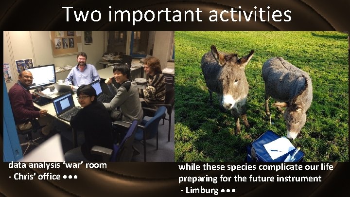 Two important activities data analysis ‘war’ room - Chris’ office while these species complicate