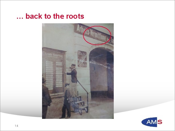 … back to the roots 14 14 