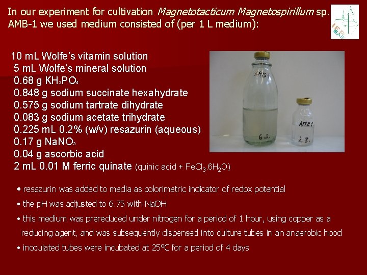 In our experiment for cultivation Magnetotacticum Magnetospirillum sp. AMB-1 we used medium consisted of