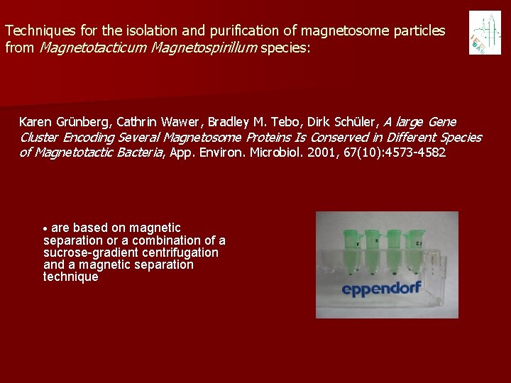 Techniques for the isolation and purification of magnetosome particles from Magnetotacticum Magnetospirillum species: Karen
