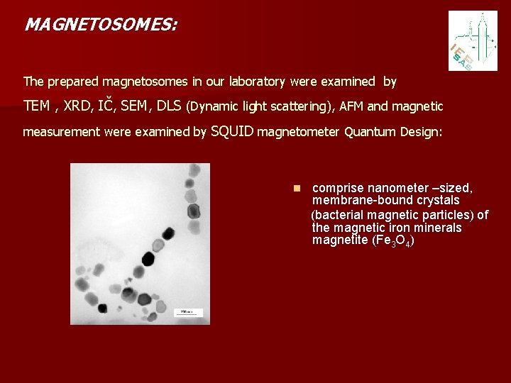 MAGNETOSOMES: The prepared magnetosomes in our laboratory were examined by TEM , XRD, IČ,