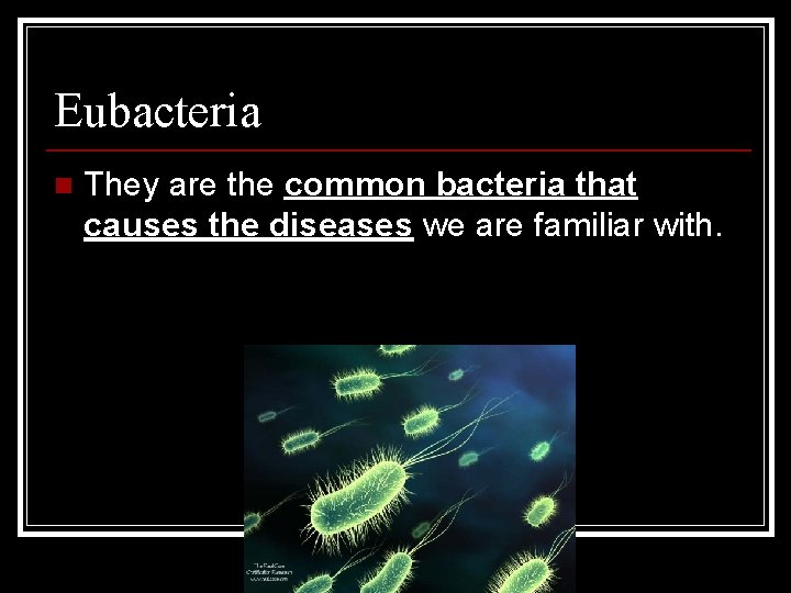 Eubacteria n They are the common bacteria that causes the diseases we are familiar