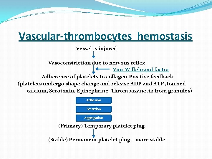  Vascular-thrombocytes hemostasis Vessel is injured Vasoconstriction due to nervous reflex Von-Willebrand factor Adherence