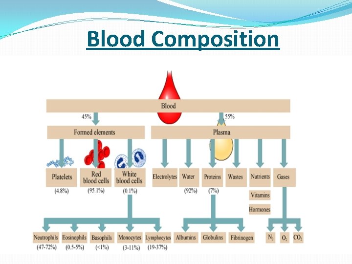  Blood Composition 