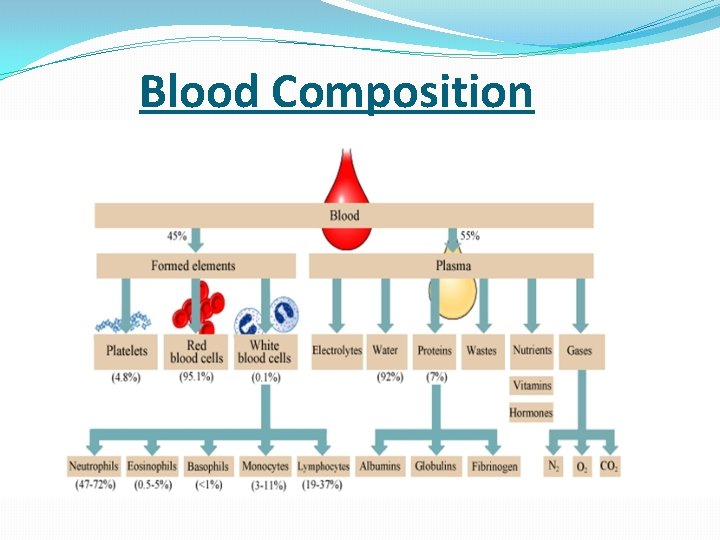 Blood Composition 