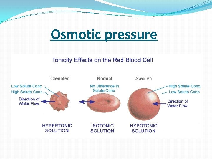  Osmotic pressure 