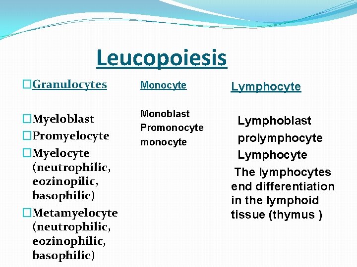  Leucopoiesis �Granulocytes Monocyte �Myeloblast �Promyelocyte �Myelocyte (neutrophilic, eozinopilic, basophilic) �Metamyelocyte (neutrophilic, eozinophilic, basophilic)