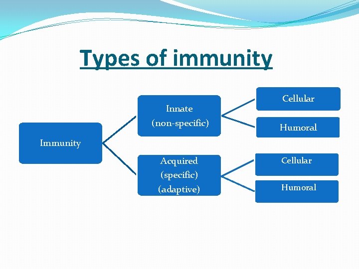  Types of immunity Innate (non-specific) Cellular Humoral Immunity Acquired (specific) (adaptive) Cellular Humoral